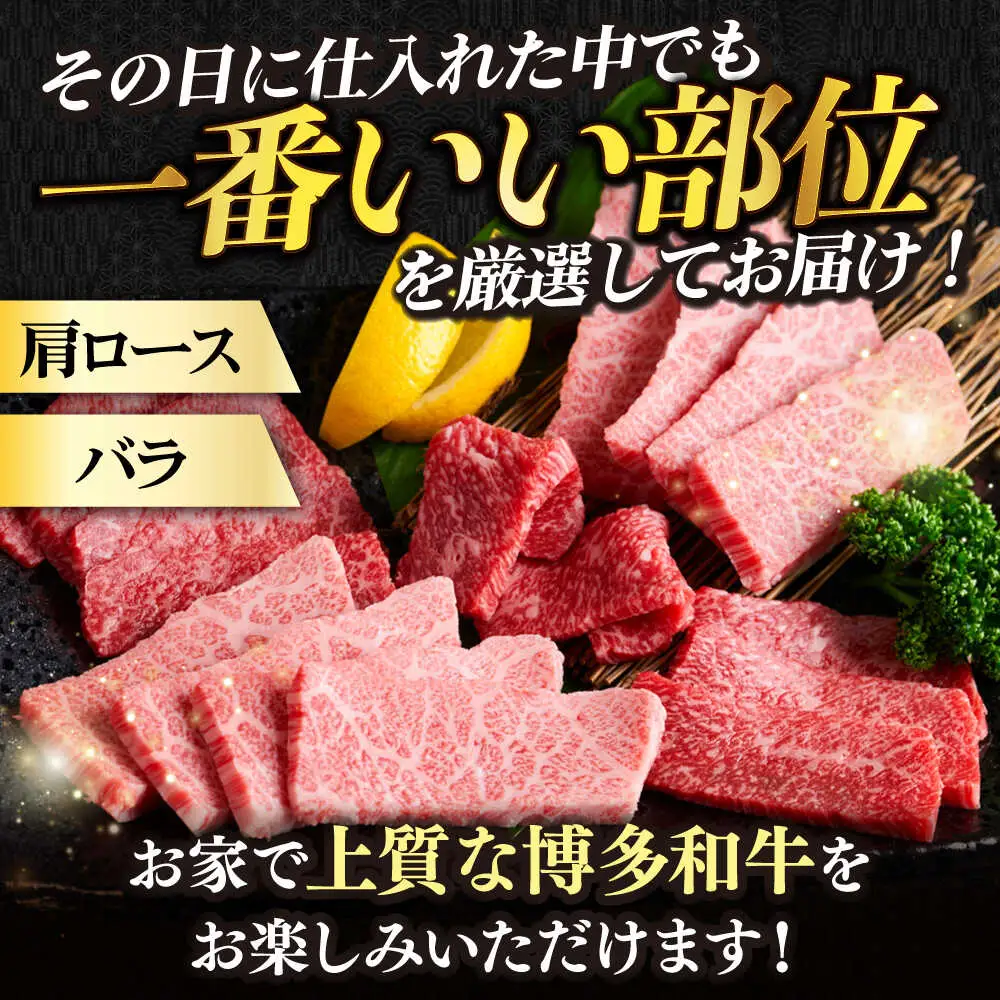 切り落し 【全3回定期便】 【訳あり】 500g [ABBP151] 切り落し