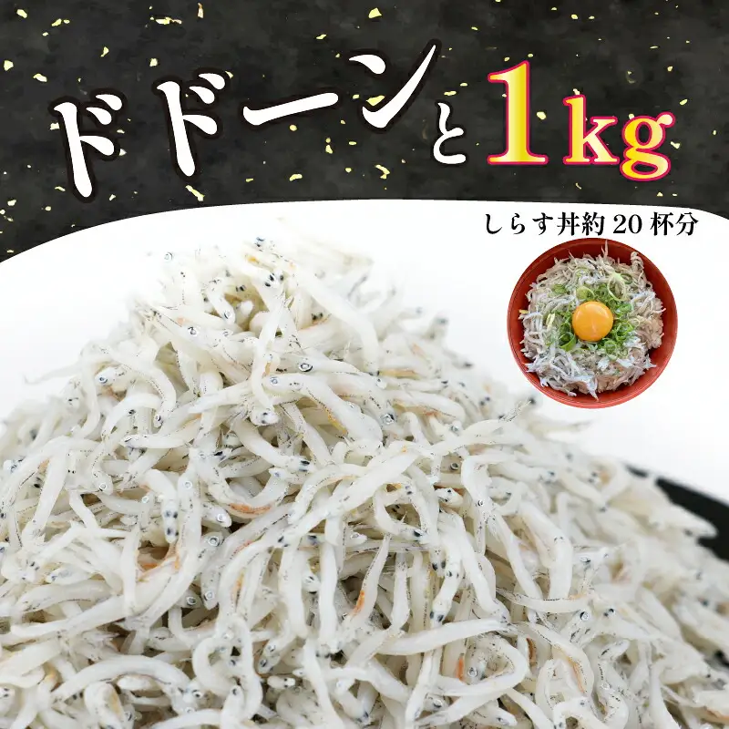 しらす 釜揚げしらす 100g × 10袋 計 1kg 時栄水産 釜揚げ 冷凍 小分け 魚 さかな sirasu 国産しらす ちりめん じゃこ 鰯 いわし しらす丼 海鮮丼 ご飯 おつまみ 加工品 ふりかけ 海の幸 魚介 小魚 離乳食 おすすめ 人気 産地直送 数量限定 国産 愛媛 愛媛県産 宇和島 D010-174001