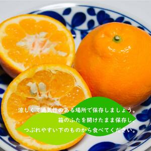 【2027年1月下旬ごろ順次発送】 伊予柑 いよかん 約 10kg 愛媛 興居島 柑橘 糖度 別名 宮内伊予柑【SHM006_x】