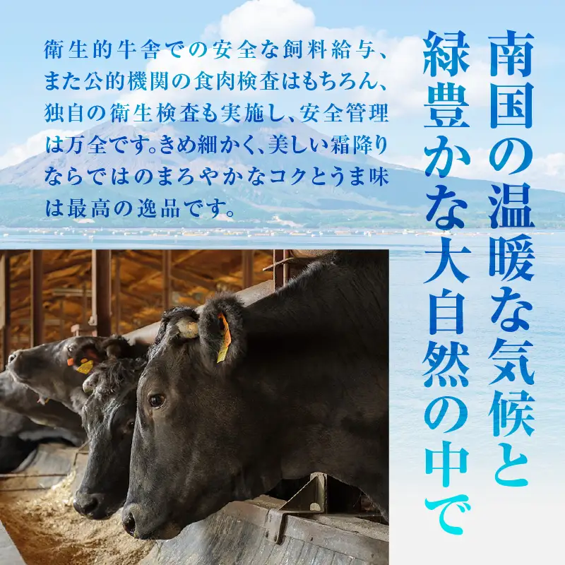 （D-3501） 鹿児島黒牛 ウデスライス セット 計900g K127-009 肉 牛肉 冷凍
