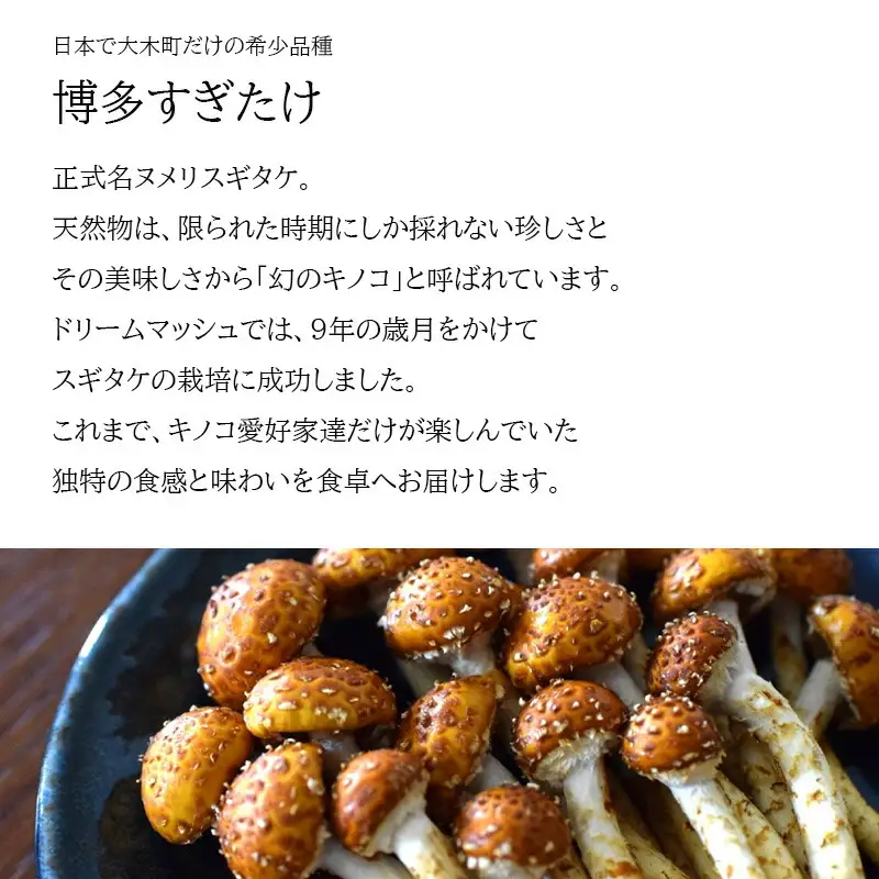 博多すぎたけ　フリーズドライ味噌汁（6食セット）　AU05