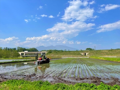 【令和7年産・白米5kg】佐久市産こしひかり（北海道・沖縄・離島は配送不可） 長野県 信州 こしひかり コシヒカリ 白米 精米 お米 一等米 単一原料米