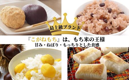 新米 新潟県産 もち米『こがねもち』4.5kg（3升）【12月25日決済分まで年内発送】令和7年産 つやつやモチモチ もち米ならではの芳醇な香り 清耕園ファーム 【餅 赤飯 おこわ ご飯 ライス ふるさと納税 米 ブランド米】【もち こがねもち もち米 】