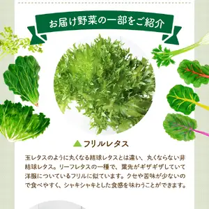 ココワークの水耕栽培野菜 約1kg ゆず人参ドレッシング2本 セット
