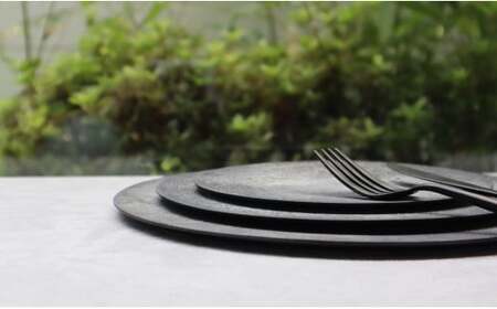有田焼 moonsurfaceplate (L/M/S) 3枚組 フラットプレート ３枚セット お皿 料理が引き立つプレート プロ仕様プレート ギフト お皿 おすすめ 強化磁器 月 シンプル シック お皿 まるふく aq023 