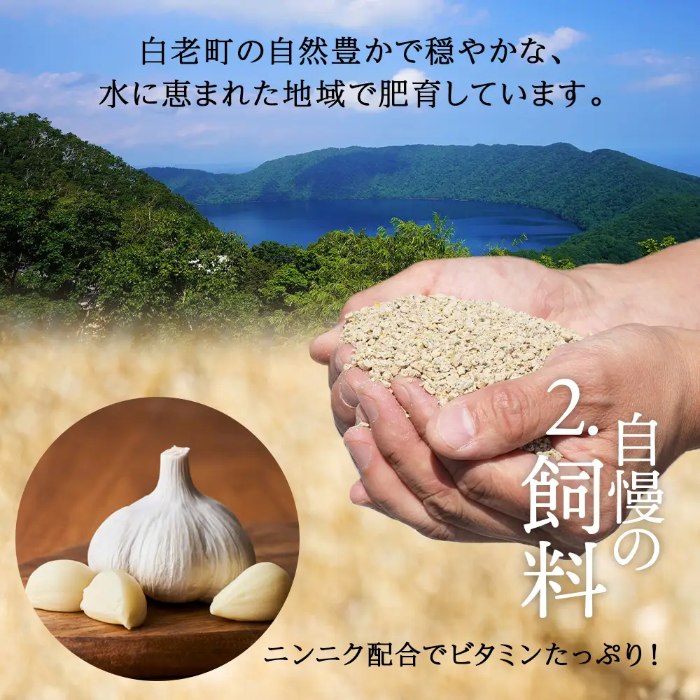 【定期便 12カ月】北海道産 白老豚 ウデ 小間切れスライス 400g×６パック BV066