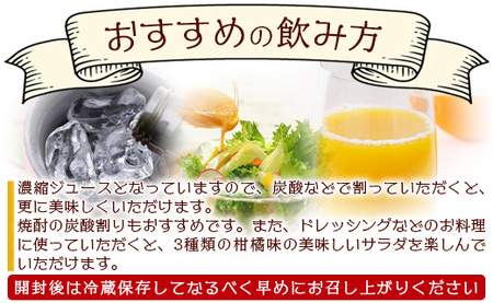 みかん農家の手搾り自家製ジュース(300ml) 3本セット - 山北みかん 小夏 水晶文旦 果汁 飲料 国産 詰め合わせ ２倍濃縮 炭酸割り eh-0032