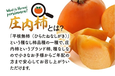 SA3072　果樹専業農家 佐藤農園の庄内柿　約5kg(29～31玉入)　L～2Lサイズ