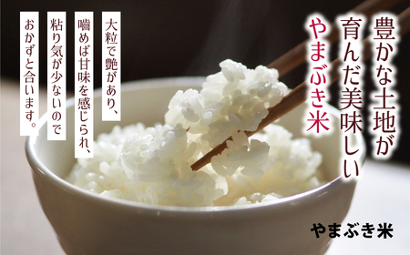 ＜令和7年産新米定期便3回＞やまぶき米(あきげしき)4kg《11月上旬以降出荷予定》