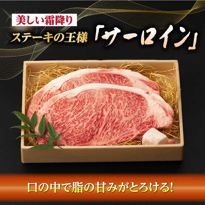 サーロイン ステーキ 800g （200g×4枚） 長崎和牛 A4?A5ランク 希少部位【野中精肉店】 [VF40] 肉 牛肉 サーロインステーキ 焼肉