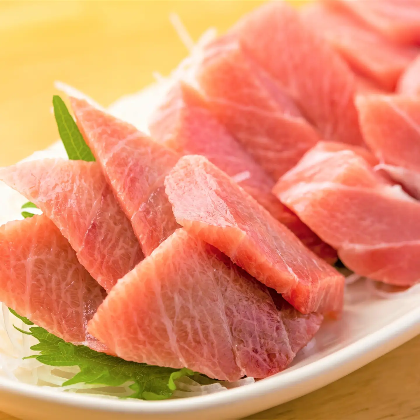 冷凍 鮪 とろざんまい（天然本鮪・天然南鮪・バチの三種の「とろ」とバチの「上赤身」のセット）静岡市 天然 まぐろ トロ マグロ 厳選 海生水産 海の幸■