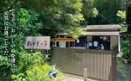 ＜ぬかどっ子＞ 熟成ぬか床 キット【ぬか床3Kg, 補充用煎りぬか300g×1袋, かくし味(昆布・きな粉・唐辛子)×1袋 ,ポリ容器入】無添加 国産原料 漬物 糠 乳酸菌 発酵■