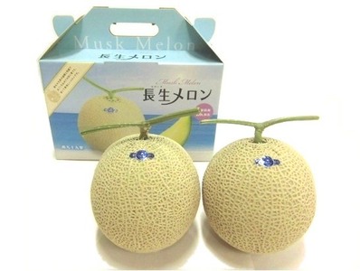 長生マスクメロン２玉（約3.5kg）【2026年夏発送分】