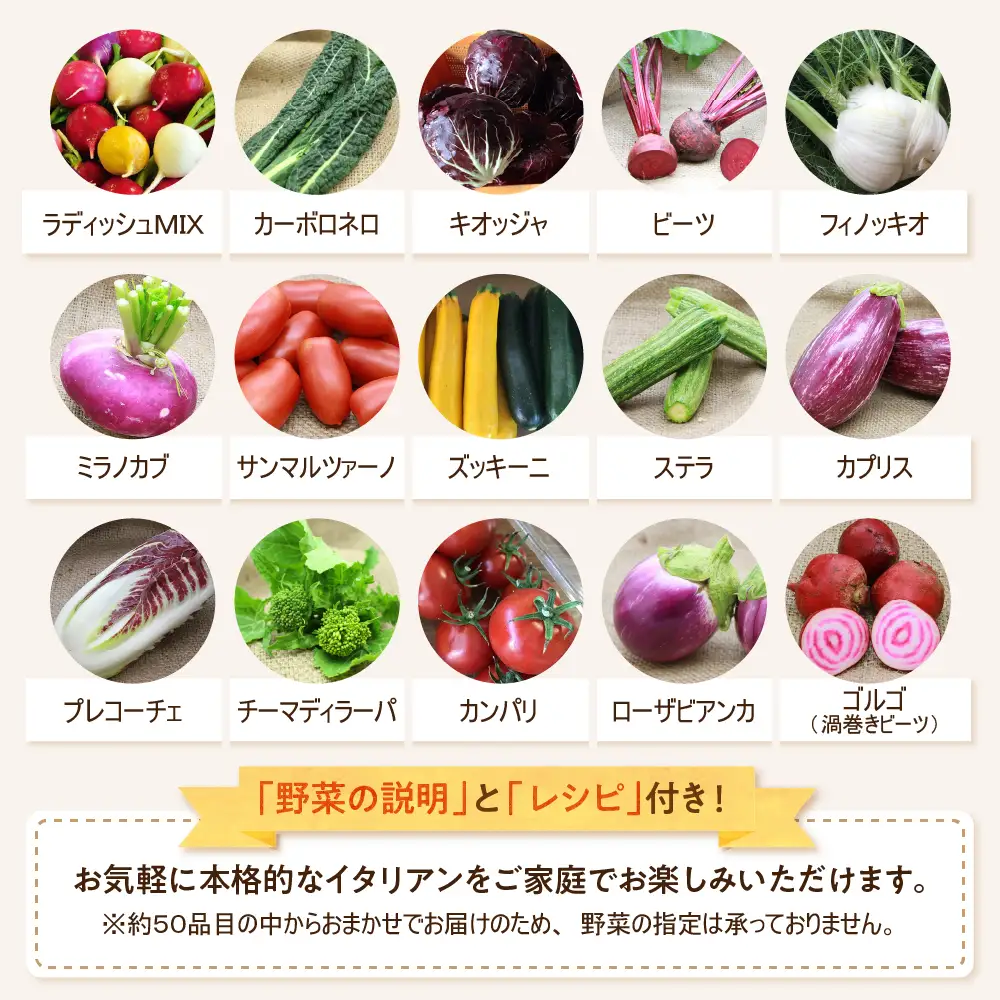 野菜 かほくイタリア野菜 旬のおまかせBOX 5-8種 野菜