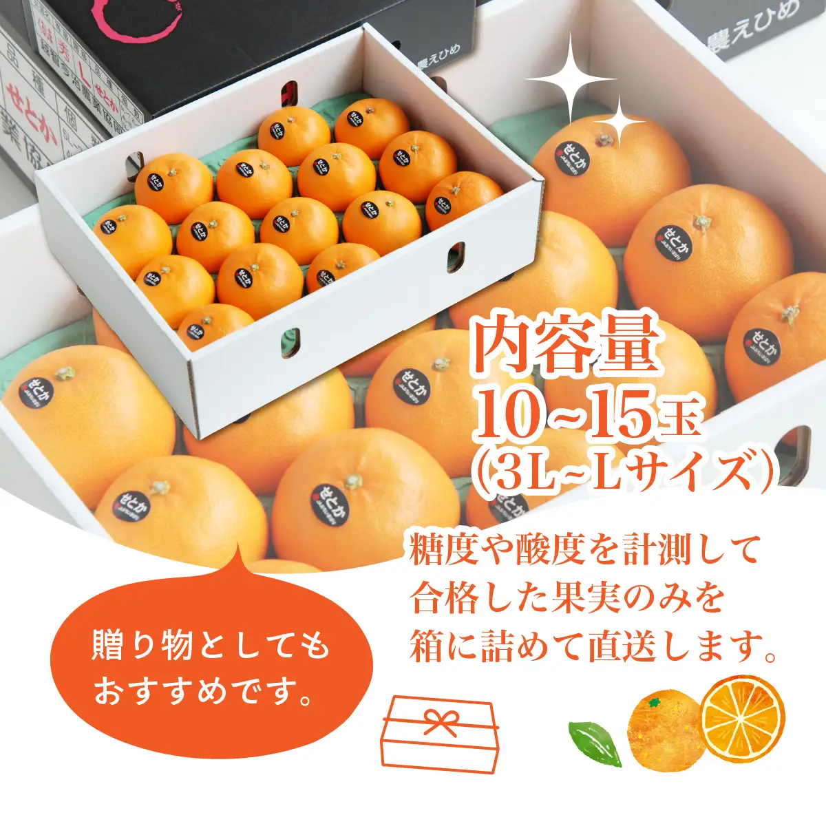 みかん せとか 化粧箱 3L～Lサイズ 10～15玉