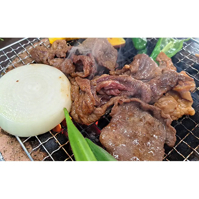 一力商店 バーベキューセット スタンダード セット 詰め合わせ 味付け肉 味付き肉 牛肉 豚肉 牛 豚 肉 お肉 焼き肉 焼肉 バーベキュー アウトドア キャンプ ロース 上ホルモン ホルモン 牛さがり 牛カルビ 豚サガリ とんじんかん 北海道 芦別市