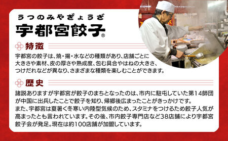 【6ヶ月定期便】宇都宮餃子　32店舗定期便　計700個以上 ｜ ぎょうざ 冷凍餃子 冷凍食品 惣菜 栃木県 宇都宮市 ※着日指定不可