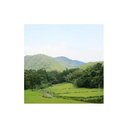 オリジナルほうじ茶ハーブティーセット