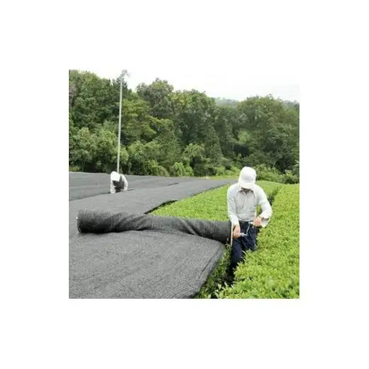 大和かぶせ茶「千の露」セレクト