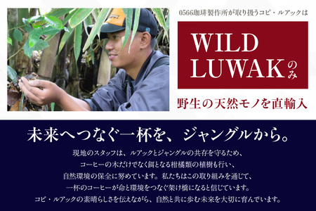 [№40-3240]幻のコーヒー　コピ・ルアック 100g【豆のまま】