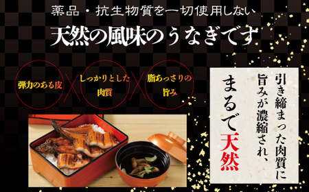 26-006．四万十川優化イオンうなぎ蒲焼2尾（ボイル肝、たれ付き）