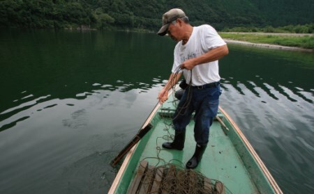 四万十川漁協遊漁券 1年券 【令和8年3月1日～令和9年2月28日】 高知 四万十川 令和9年 令和8年 2027年 2026年 釣り 川釣り フィッシング 遊漁 遊漁券 アウトドア うなぎ ウナギ 鰻 あゆ アユ 鮎 四万十市 四万十 26-113