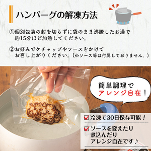 鹿児島県黒豚 100%使用 黒豚ハンバーグ(計1kg・100g×10個) a1-092