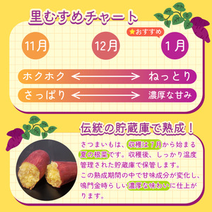 なると金時 Lサイズ 5kg 1月発送 さつまいも なると金時