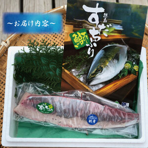 すだちぶり 1柵 10月から11月末まで発送 ぶり