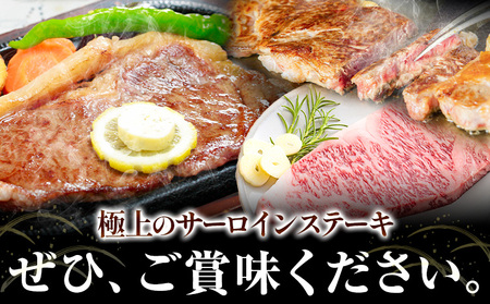 黒毛和牛 A5等級 肉 和牛 国産 牛肉 サーロイン ステーキ ステーキ肉 約400g (約200g×2枚) 有限会社ホーティカルチャー神島《30日以内に出荷予定(土日祝除く)》岡山県 浅口市 冷凍 分厚い送料無料