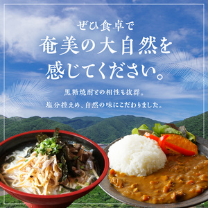 鶏飯 ・ パパイヤ 入り 奄美 カレー セット A003-006 レトルト 総菜 惣菜 島料理 伝統料理 ソウルフード おもてなし料理 ごはん 手軽 時短 三環舎 ふるさと納税 鹿児島 奄美市 おすすめ ランキング プレゼント ギフト