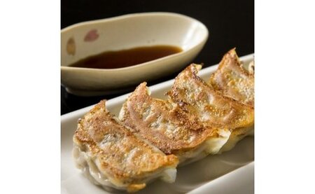 奄美のおもてなし料理「鶏飯」＆こだわりの奄美島豚餃子セット A011-006 郷土料理 惣菜 島料理 ご当地グルメ おもてなし料理 鹿児島 奄美市 奄美大島 島料理 冷凍 島豚 スープ レトルト