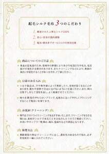 【アーダン】起毛シルク100％毛布（シングル） A026-006 シルク 起毛 毛布 絹 100 % シングル アーダン adan 抗菌防臭効果 天然素材 ナチュラル 静電気が発生しにくい 極上のひととき 冬 ご褒美 肌に優しい