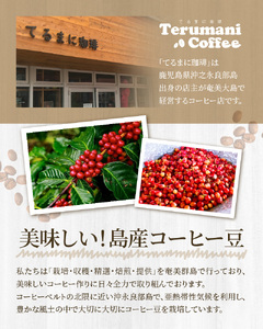自家焙煎【てるまに珈琲】奄美群島コーヒードリップパック 10g×10袋 A075-003
