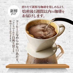 世界の自家焙煎珈琲豆テイスティングセット 100g×6種類【豆のまま】 A113-001-01 コーヒー 自家焙煎 豆 100g 6種類 テイスティングセット 浅煎り 中煎り 深煎り 海外産豆 エチオピア グァテマラ ブラジル コスタリカ インド インドネシア 自家焙煎珈琲こん日和