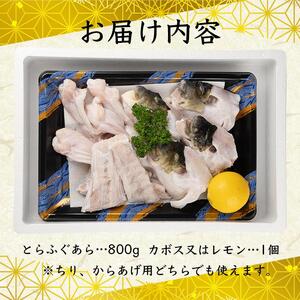 ふぐ料理専門店 『栄ふく』 国産 とらふぐあらセット（5人前）