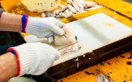 カワハギみりん干し 高級干物 かわはぎ ひのも 480ｇ（120ｇ×4袋） 鮮魚 新鮮 絶品 高級魚  たっぷり 満足 おすすめ干物 人気ひもの 簡単 調理 手作り干物 絶品ひもの カワハギ 三重県 尾鷲市 IW-6