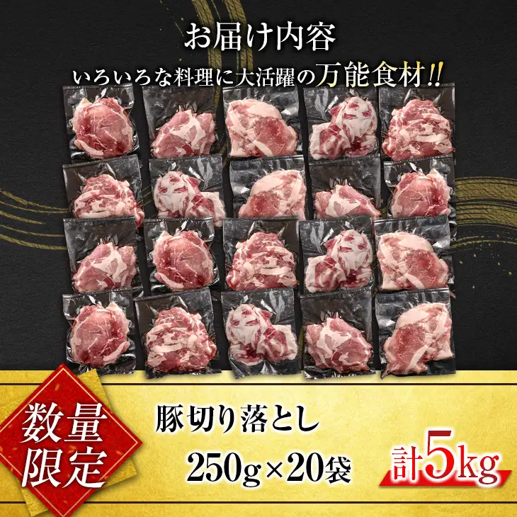 小分けで便利 数量限定 豚 切り落とし 計5kg お肉 豚肉 ポーク 国産 小分け 真空パック 個包装 万能食材 おすすめ おかず 食品 炒め物 お弁当 豚丼 豚しゃぶ しゃぶしゃぶ 焼肉 お祝い 記念日 ギフト 贈り物 贈答 プレゼント おすそ分け 宮崎県 日南市 送料無料_CD61-24