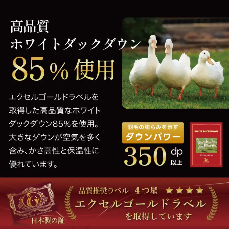 【春秋用】 羽毛布団 セミダブル 合掛け 中厚 ホワイトダックダウン 85％ 1kg (無地 アイボリー)  350dp 4つ星 エクセルゴールドラベル｜[川村羽毛 山梨県 韮崎市 20743640]