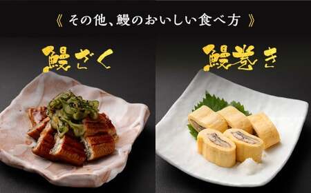 AS-448 九州産うなぎ蒲焼き 2尾 合計約240g(約120g×2尾) タレ付