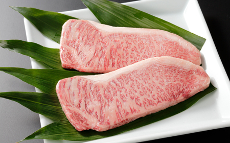 26-067．【4ヵ月連続定期便】四万十市人気魚介＆お肉返礼品