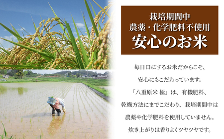 【太陽と大地】令和7年産「八重原産コシヒカリ白米「極」（栽培期間中農薬化学肥料不使用）４kg」