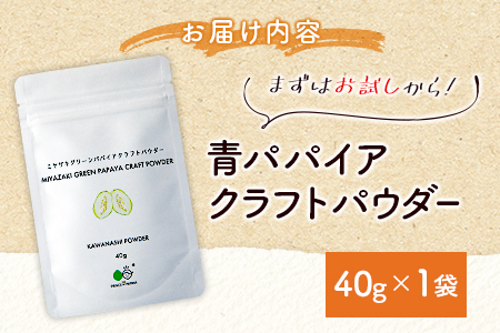 ［お試し］青パパイアパウダー（40g×1袋）皮なし粉末タイプ ポスト投函【P8】