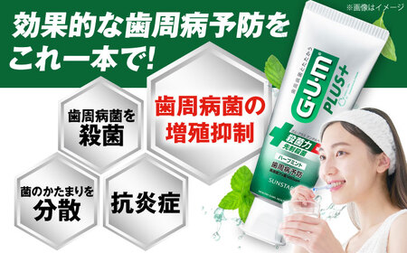 歯磨き粉 ガム・プラス デンタルペースト（ハーブミント）[AOAD027] 歯磨き粉