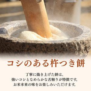 切り餅 こがね姫 シングルパック 10枚入 475g×2 (新潟県上越市産コガネモチ使用) 餅 もち