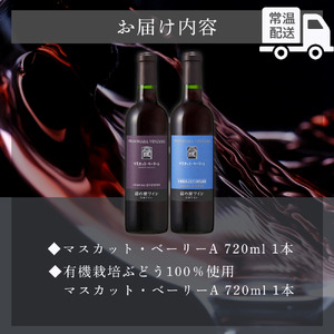 ワイン 岩の原ワイン 世界ワインコンクール金賞 マスカット・ベーリーA 飲み比べ 2本 セット（赤×2本 各720ml） 酒 ギフト ぶどう 岩の原 新潟 上越 