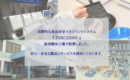 令和7年産 新潟県上越産 米物語 コシヒカリ 10kg (5kg×2袋）こしひかり 米 お米 上越市