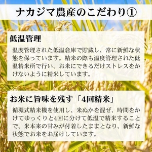 令和7年産 新潟県産 コシヒカリ 定期便 隔月発送（5kg×6回分）30kg 謙信秘蔵米 真空 窒素挿入 冬眠パック 精米 上越市 上杉謙信