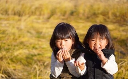 コシヒカリ 【花の米】越後かに米こしひかり 白米 5kg こしひかり 米 お米 こめ 白米 おすすめ ふるさと納税 新潟 新潟県産 にいがた 上越 上越産 かに米