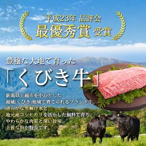 くびき牛 100％ ハンバーグ 約150g×10個 牛肉 ブランド牛 岩の原赤ワインソース ブルギニョンバター 急速冷凍 真空パック ソース付き ワイナリーレストラン金石の音 新潟県 上越市
